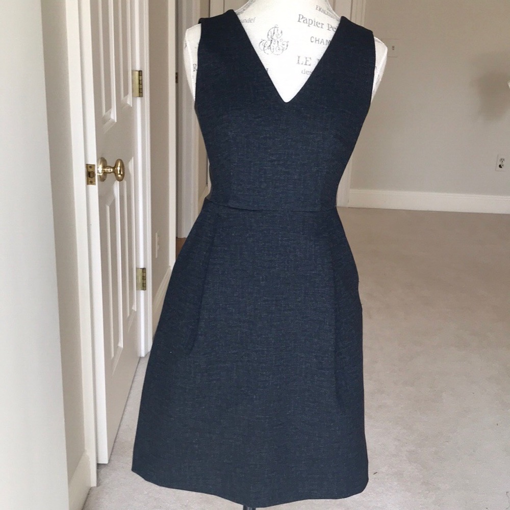 Madewell Leather Insert Pointe V-Neck Dress